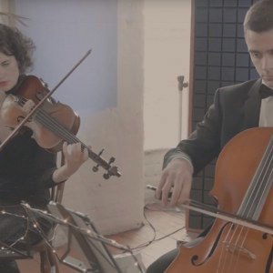 Video Larkspur Strings  Greater Manchester