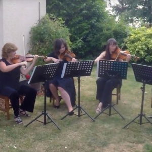 Video St Swithuns Strings  Bedfordshire