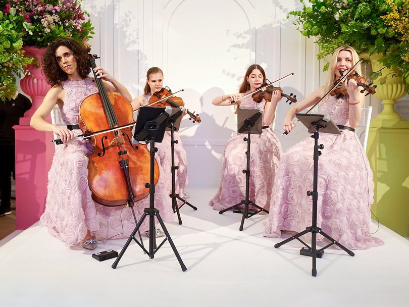 wedding ceremony musicians for hire - book live musicians for wedding ceremonies