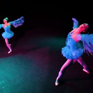 Video Winged Ballerinas  Dorset